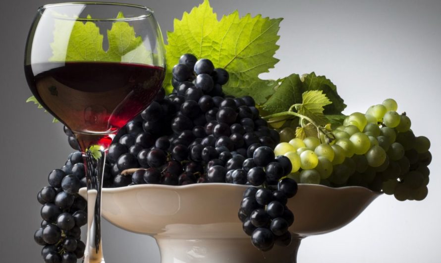 РЕКОМЕНДАЦИИ ДЛЯ ЗДОРОВЬЯ: виноград и вино